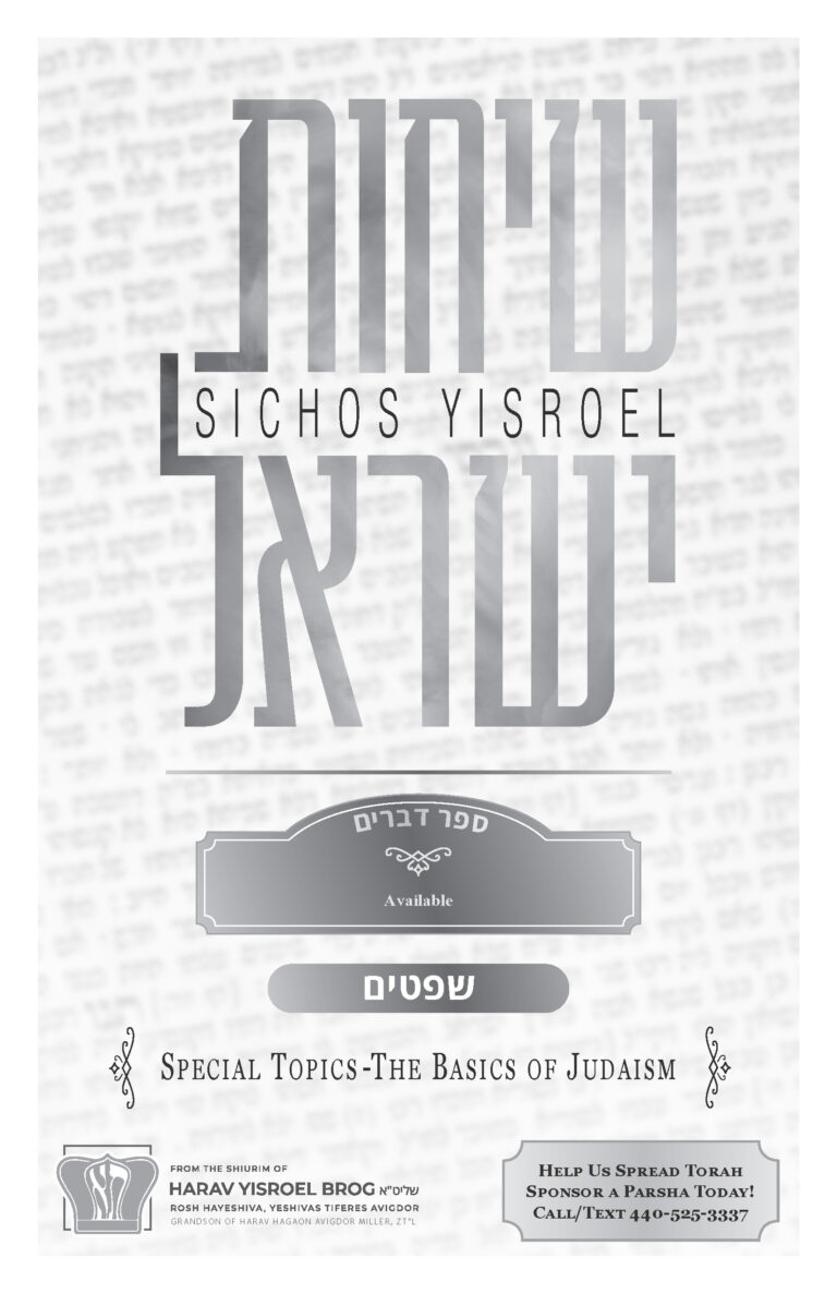 Shoftim 5783: Special Topics: The Basics of Judaism