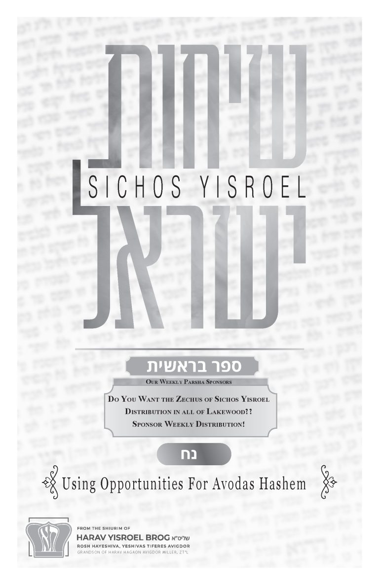 Parshas Noach: Using Opportunities For Avodas Hashem